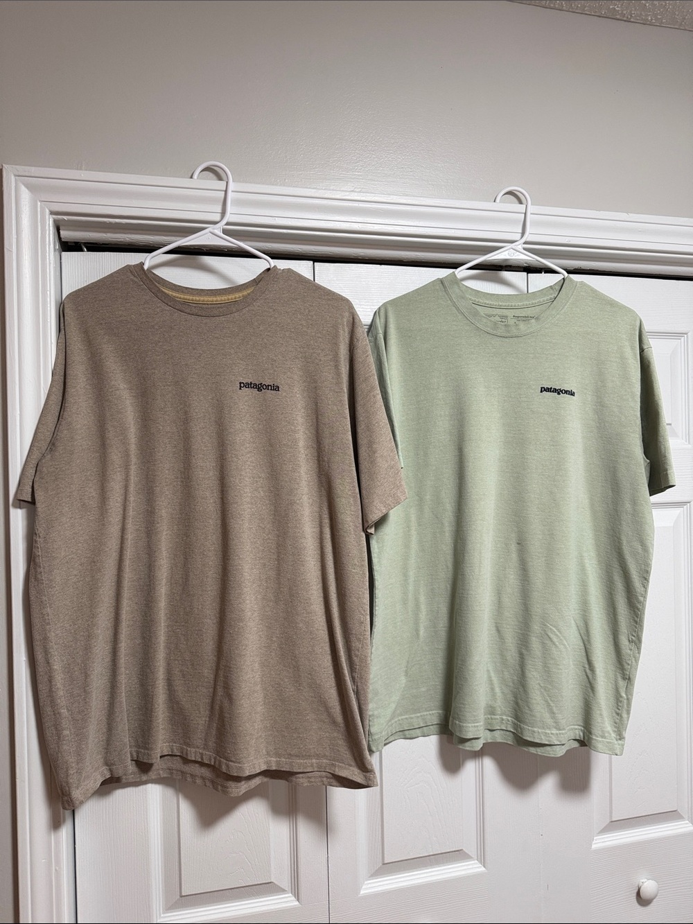 Patagonia Men's Short-Sleeve Crew Tee — Sage Green & Brown